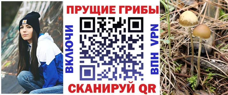Купить  Амурск  Галлюциногенные грибы прущие грибы 